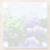 Klassischer Lila-realistischer Hydrangea-Untersetz Glasuntersetzer (Rückseite)