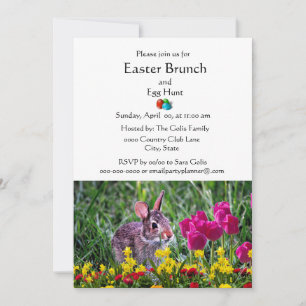 Klassischer Osterfeiertag Familienbrunch  Einladung