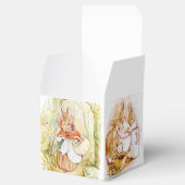 Klassischer Peter des Kaninchens Geburtstag Geschenkschachtel (Geöffnet)