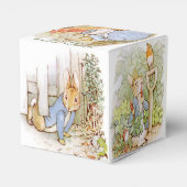 Klassischer Peter des Kaninchens Geburtstag Geschenkschachtel (Rückseite)