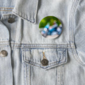 klassischer Reiter Button (Beispiel)