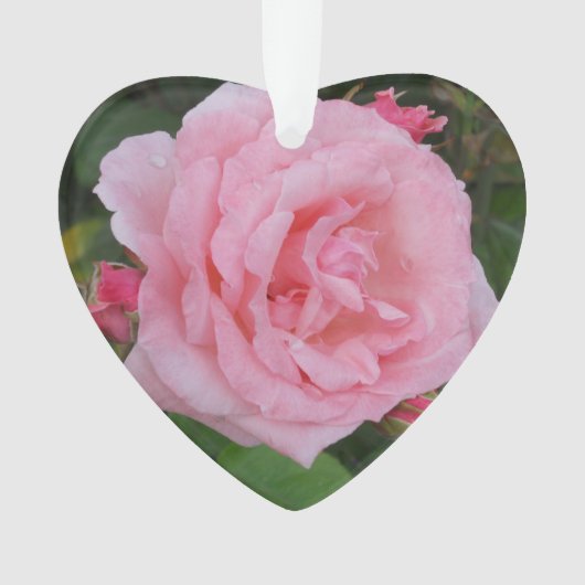 Klassischer Rosa-Akrylon Ornament (Vorderseite)