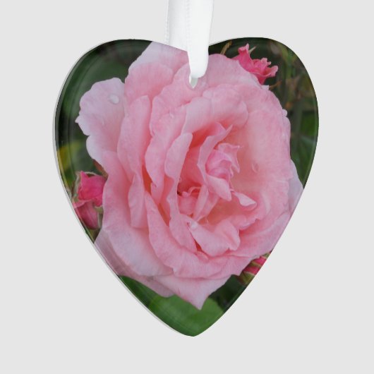 Klassischer Rosa-Akrylon Ornament (Vorderseite)