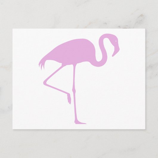 Klassischer rosa Flamingo Postkarte (Vorderseite)