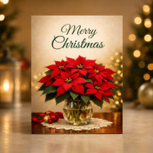 Klassischer roter Weihnachtsstern Frohe Weihnachte