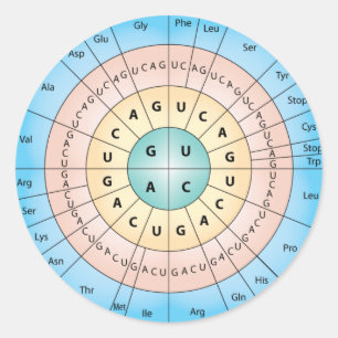 Klassischer Rundaufkleber für genetischen Code Runder Aufkleber