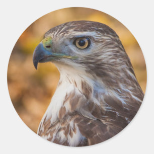 Klassischer Rundaufkleber, Glossy Hawk Profil Runder Aufkleber