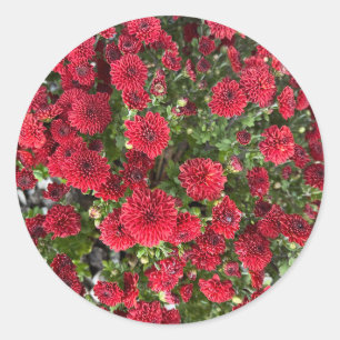 Klassischer Rundaufkleber Runder Aufkleber