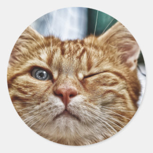 Klassischer Rundaufkleber Runder Aufkleber