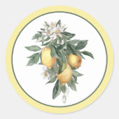 Klassischer Rundsticker Zitrone Runder Aufkleber (Vorderseite)