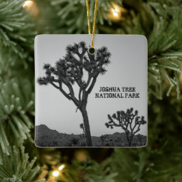 Klassischer Schwarz-weiß rosa Blauer Joshua Tree S Keramikornament
