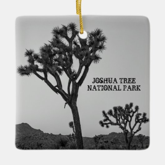 Klassischer Schwarz-weiß rosa Blauer Joshua Tree S Keramikornament (Vorderseite)