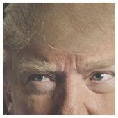 Klassischer Trump 2020 Stoff (Nahaufnahme)