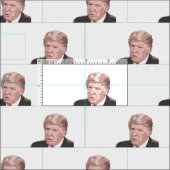Klassischer Trump 2021 Stoff (Kachel)