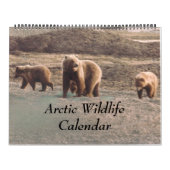 Klassisches Arktisches Foto Alaska Kalender (Titelbild)
