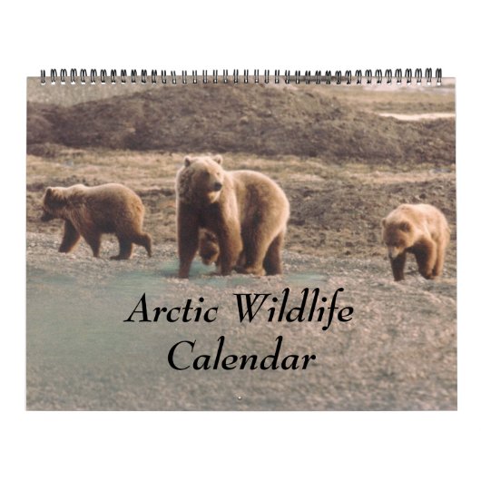 Klassisches Arktisches Foto Alaska Kalender (Titelbild)