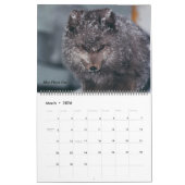 Klassisches Arktisches Foto Alaska Kalender (Mär 2026)