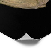 Klassisches berühmtes Bild von Abbott Handerson Th Poster (Ecke)