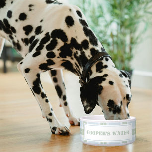 Klassisches Blau Grün Kariertes Muster Name Hund W Napf
