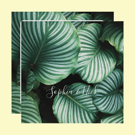 Klassisches Design der großen Blätter, Name(n), Me