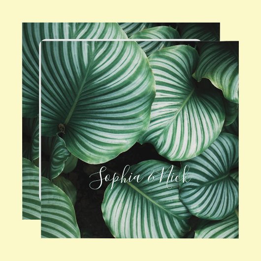 Klassisches Design der großen Blätter, Name(n), Me