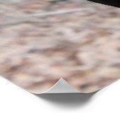 Klassisches Doberman-Bild Poster (Ecke)