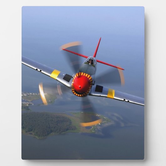 Klassisches Flugzeug Fotoplatte (Vorderseite)