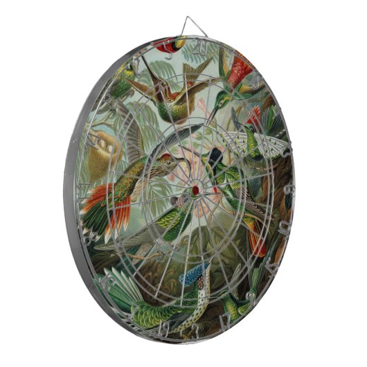 Klassisches Gemälde von Kolibri Dartscheibe (Vorderseite Links)