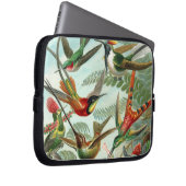 Klassisches Gemälde von Kolibri Laptopschutzhülle (Vorne Rechts)