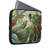 Klassisches Gemälde von Kolibri Laptopschutzhülle (Vorne Rechts)