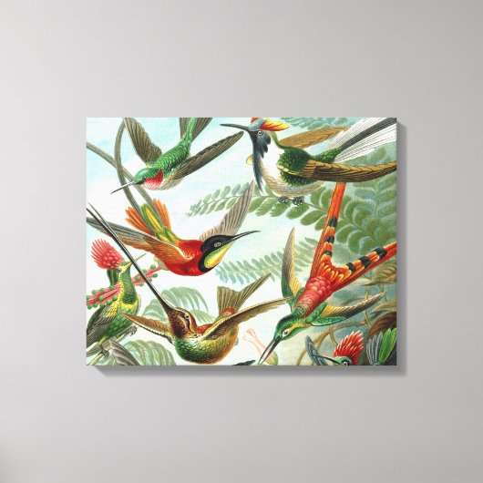 Klassisches Gemälde von Kolibri Leinwanddruck (Vorderseite)