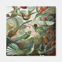 Klassisches Gemälde von Kolibri