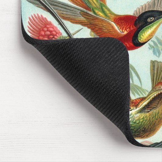 Klassisches Gemälde von Kolibri Mousepad (Ecke)