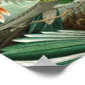 Klassisches Gemälde von Kolibri Poster (Ecke)