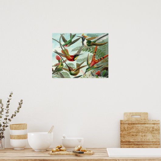 Klassisches Gemälde von Kolibri Poster (Küche)