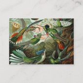 Klassisches Gemälde von Kolibri Visitenkarte (Rückseite)
