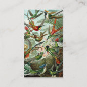 Klassisches Gemälde von Kolibri Visitenkarte (Rückseite)
