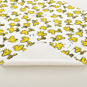 Klassisches Holzdesign Sherpadecke (3/4)