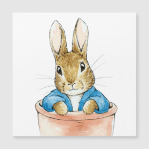 Klassisches Kaninchen Magnetkarte