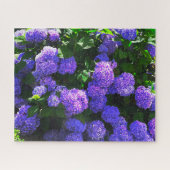 Klassisches Lila-realistisches Hydrangea-Puzzle Puzzle (Horizontal)