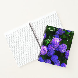 Klassisches Lila-realistisches Hydrangea Spiral No Notizblock