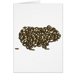 Klassisches Meerschweinchen