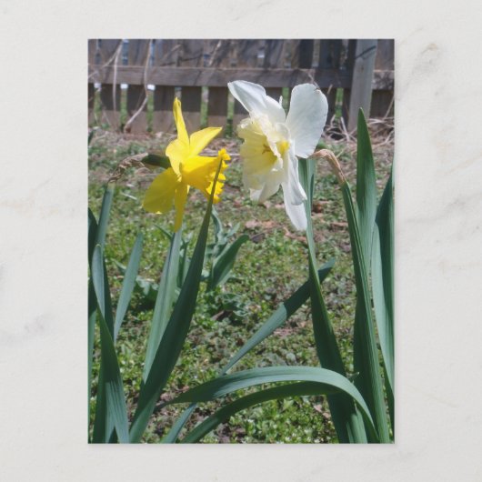 Klatsch Postkarte (Vorderseite)