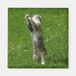 Klatschen Sie Sie Hände und Briefmarke Ihre Füß Magnet