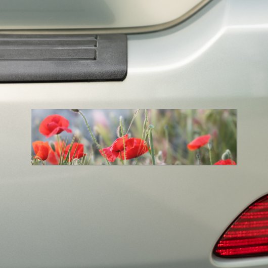 Klatschmohn Autoaufkleber (Auf Auto)