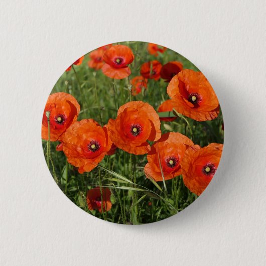 Klatschmohn button (Vorderseite)