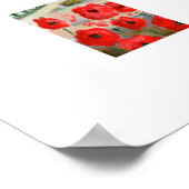 Klatschmohn feiert rote Blumen. Poster (Ecke)