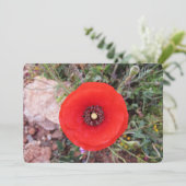 Klatschmohn Feiertagskarte (Stehend Vorderseite)