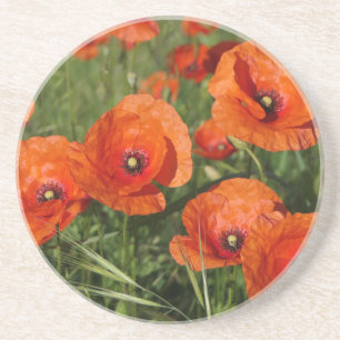 Klatschmohn getränkeuntersetzer