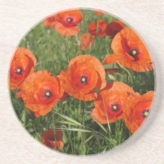 Klatschmohn Getränkeuntersetzer (Vorne)